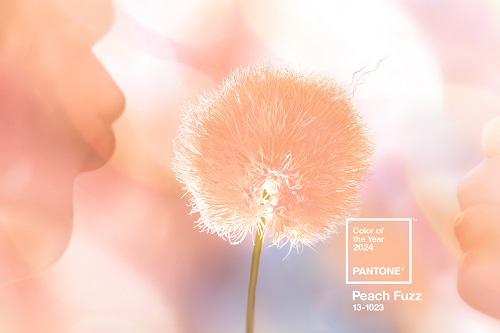 2024 PANTONE RENGİ BELLİ OLDU: ŞEFTALİ TÜYÜ