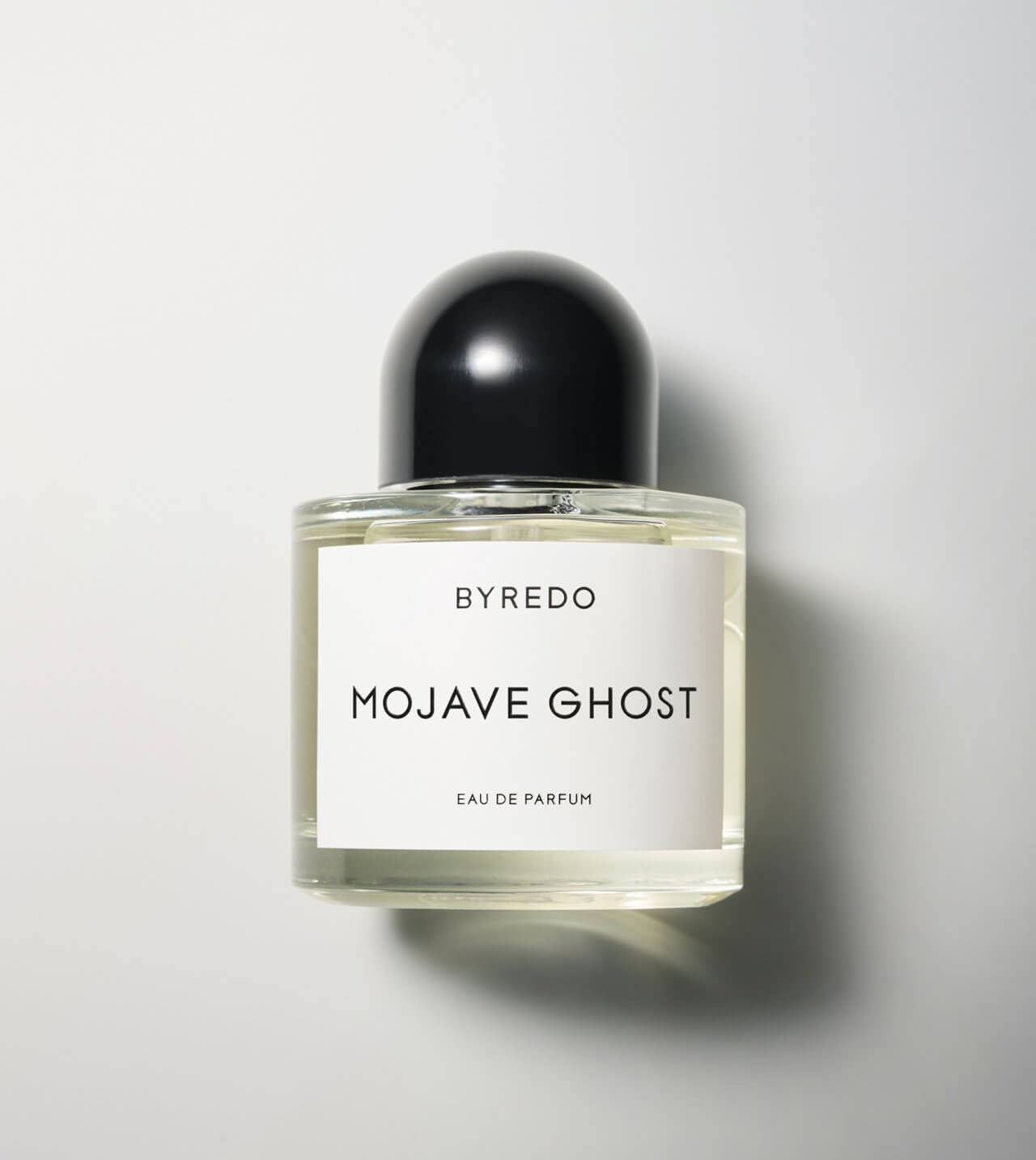 MOJAVE GHOST 1