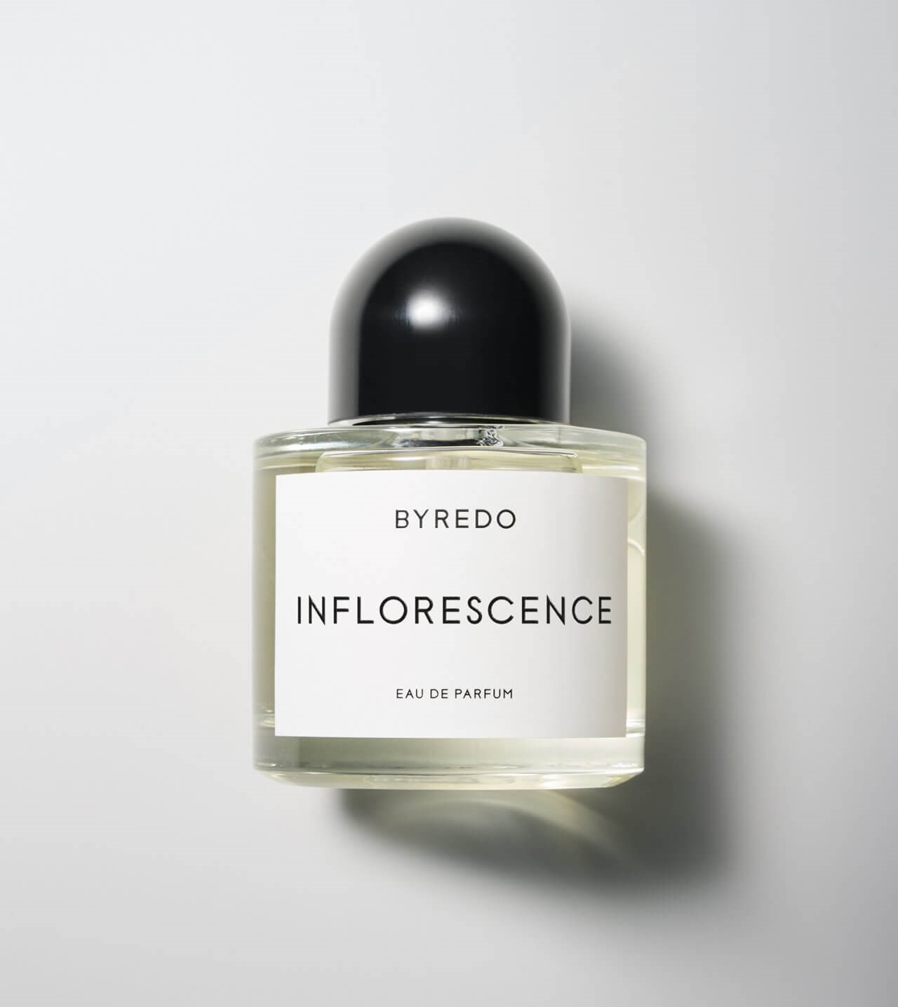 INFLORESCENCE 1