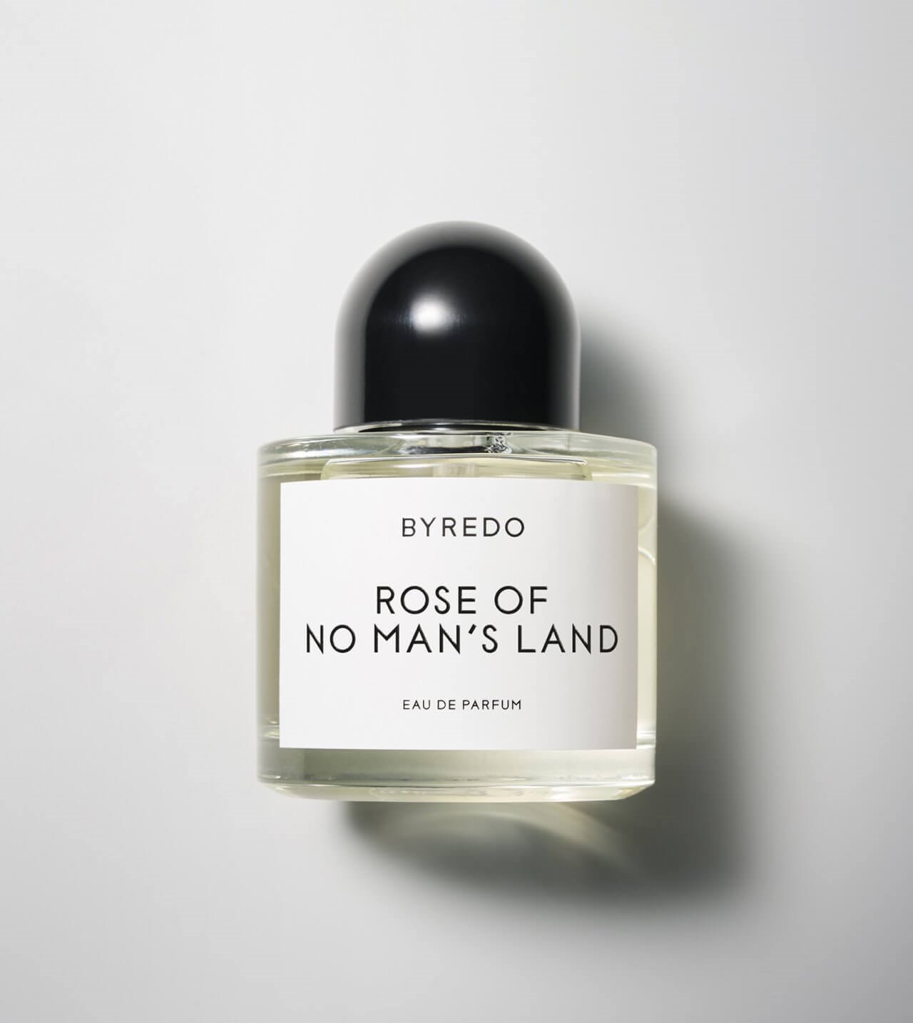 ROSE OF NO MANS LAND 1