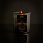 ATMOSFERA DI COMO - ANTIQUE SANDALWOOD MUM