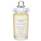 SAVOY STEAM  EDP 100 ML