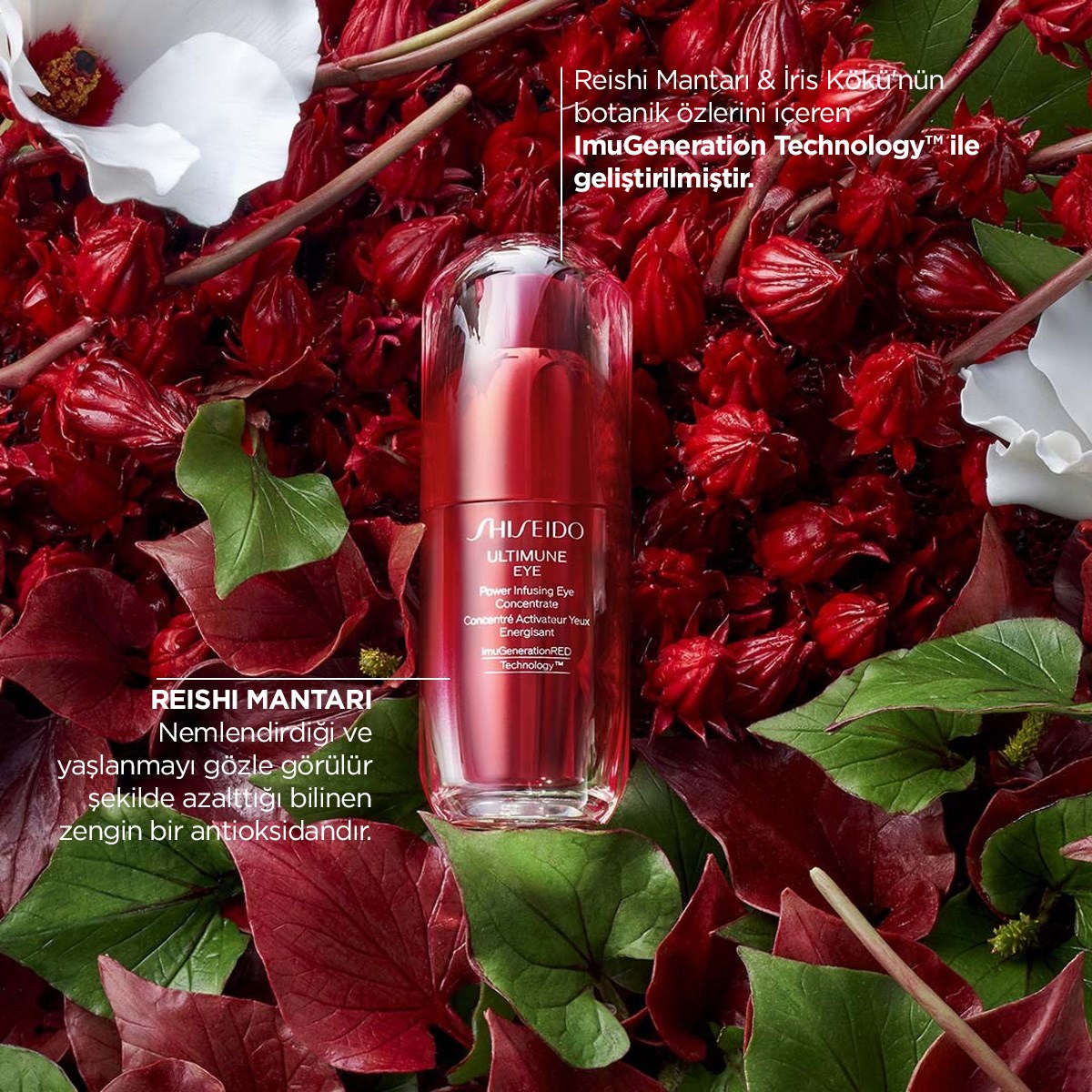 ULTIMUNE POWER INFUSING EYE CONCENTRATE 4