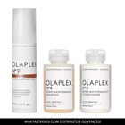 HEALTHY HAIR TRAVEL TRIO