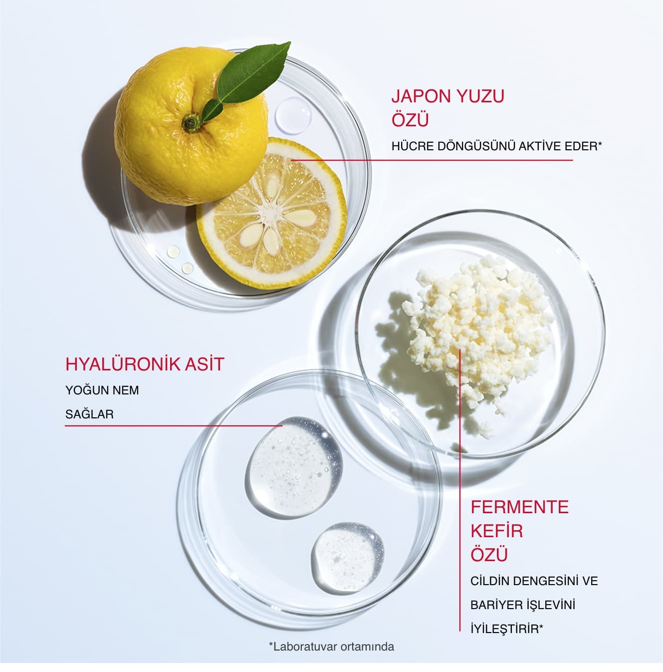 SHISEIDO Eudermine Koleksiyonu