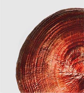 Shiseido Ultimune