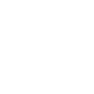 Play Icon