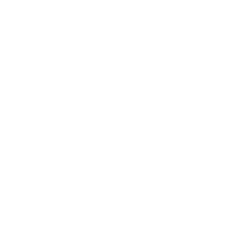 Play Icon