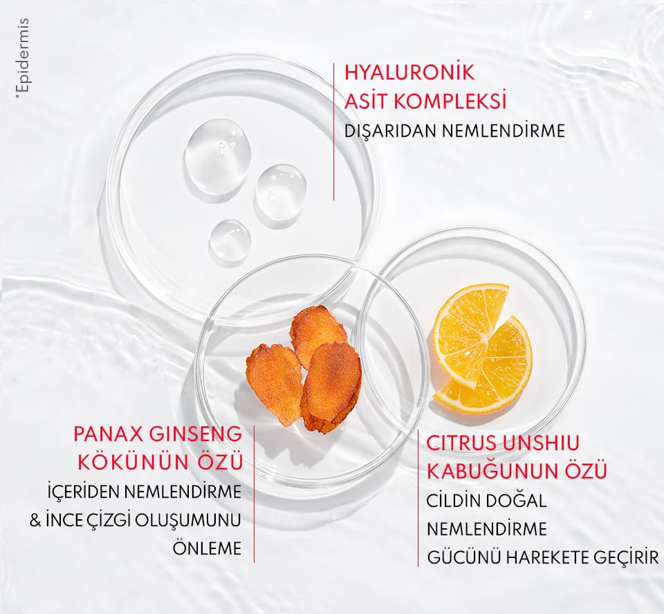 Shiseido Essential Energy