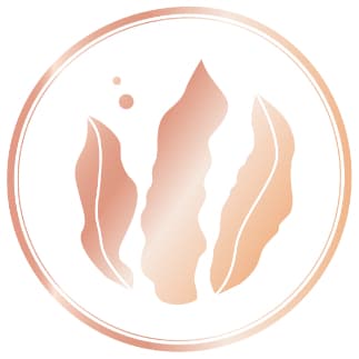 Shiseido Benefiance