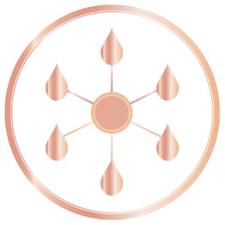 Shiseido Benefiance