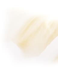 Shiseido Vital Perfection